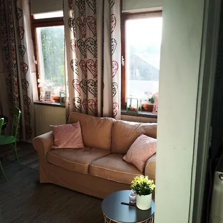 Zur Friedrichsruh לינה וארוחת בוקר Oelsnitz (Vogtland)