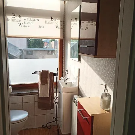 Zur Friedrichsruh לינה וארוחת בוקר Oelsnitz (Vogtland)